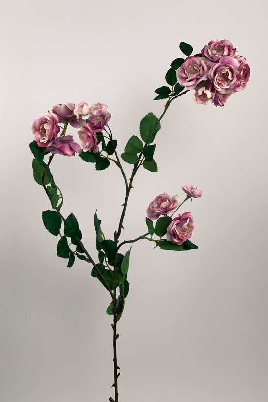 Zijden kunstbloem Trosroos | Violet | Lengte 89 centimeter