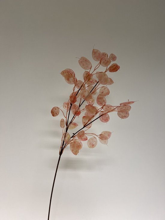 Zijden kunstbloem Judaspenning | Roze | Lengte 75 centimeter