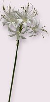 Zijden kunstbloem Nerine | Wit | Lengte 67 centimeter