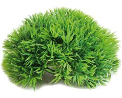 Flamingo Aquarium Decoratie Mosbal - Groen - 11 x 11 x 5 cm