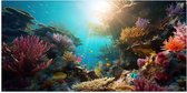 Poster (Mat) - Onderwater - Oceaan - Zee - Koraal - Vissen - Kleuren - Zon - 100x50 cm Foto op Posterpapier met een Matte look