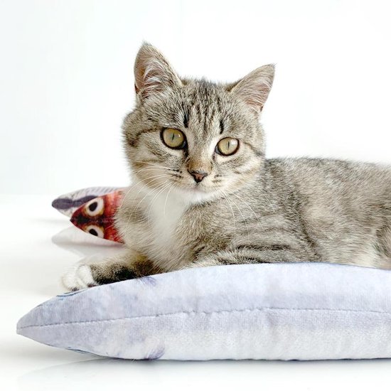 Forck Kattenkruidkussen, 3 stuks, knuffelkussen met extra veel Forck Kattenkruidkussen, 3 stuks, knuffelkussen met extra veel