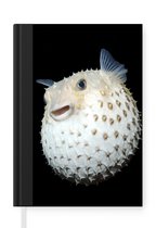 Notitieboek - Schrijfboek - Vis - Zeedieren - Portret - Notitieboekje klein - A5 formaat - Schrijfblok