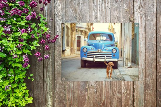 Photo encadrée - Une voiture classique cubaine bleue garée avec un cadre  photo chien