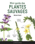 Mini-guide des plantes sauvages