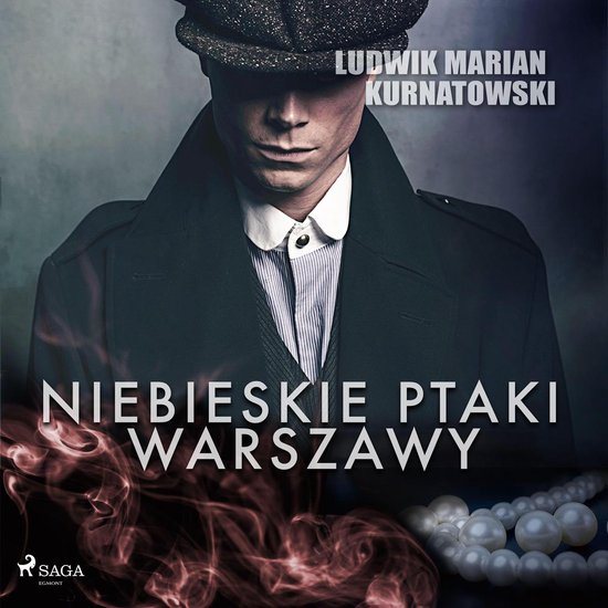 Niebieskie Ptaki Warszawy - cover
