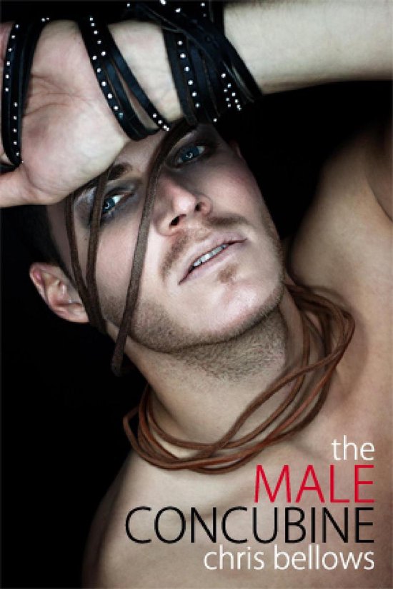 The Male Concubine - cover
