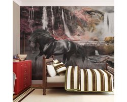 Fotobehang - Zwart paard door een waterval