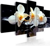 Schilderijen Op Canvas - Schilderij - Orchids with orange accent 100x50 - Artgeist Schilderij
