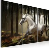 Schilderijen Op Canvas - Schilderij - A white horse in the midst of the trees 60x40 - Artgeist Schilderij