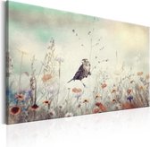 Schilderijen Op Canvas - Schilderij - Wild Meadow 120x80 - Artgeist Schilderij