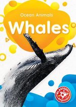 Whales