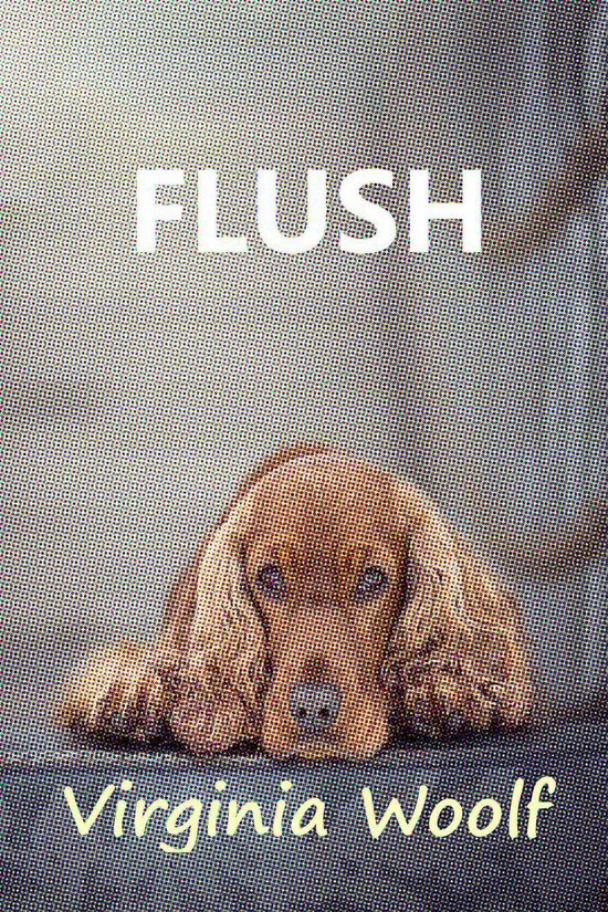 Flush - cover