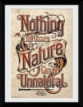 FANTASTIC BEASTS - Collector Print 30X40 - Nature