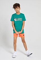 Shiwi Tee boys  snoopy gone surfing - vital green - 152