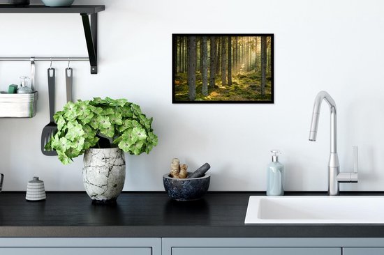 Affiche avec cadre Forêt - Arbre - Soleil - 30x20 cm