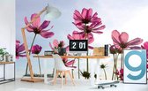 Dimex Cosmos Flowers Vlies Fotobehang 375x250cm 5-banen