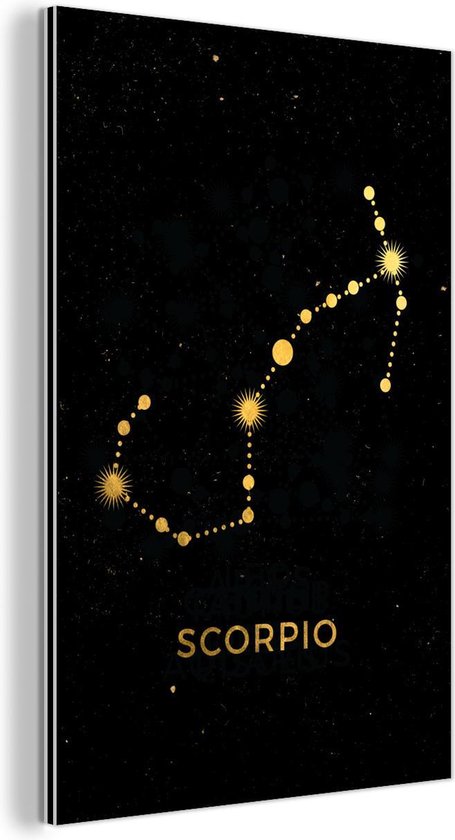 Décoration murale Métal - Aluminium - Signe du zodiaque - Scorpion - Astrologie - 80x120 cm