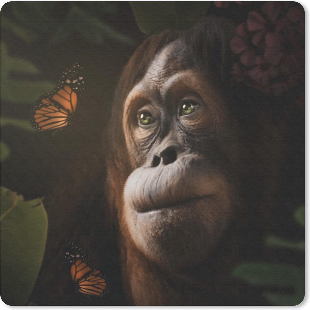 Muismat 20x20 cm - Mousepad Vlinder - Aap - Jungle - Muismatten