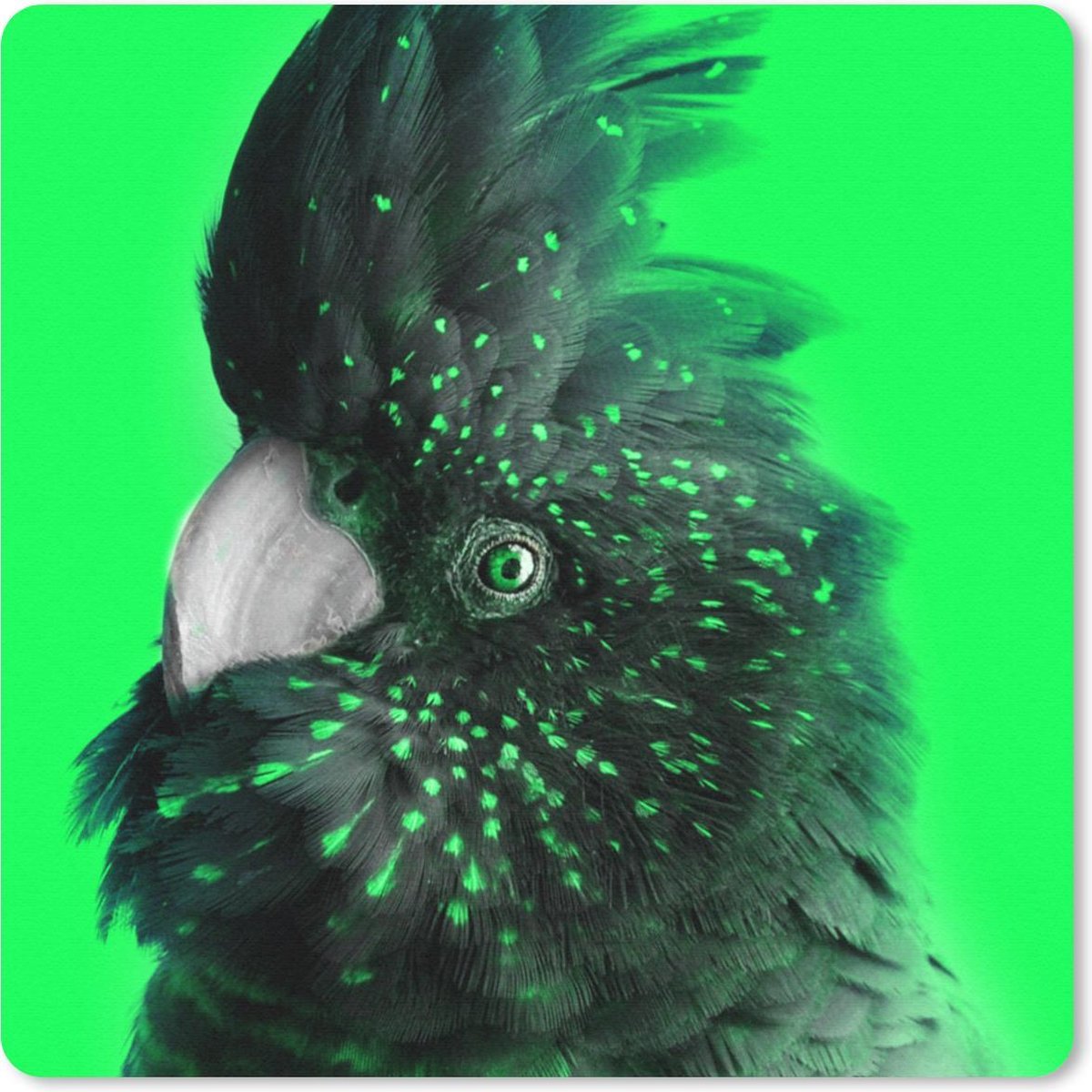 Muismat 20x20 cm - Mousepad Kaketoe - Groen - Zwart - Muismatten