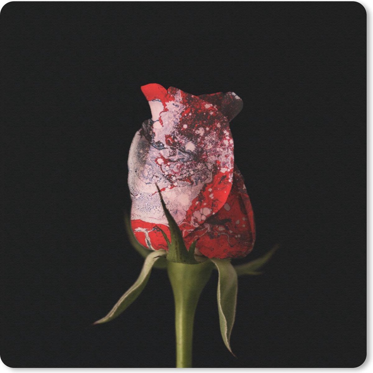 Muismat 30x30 cm - Mousepad Rozen - Bloemen - Verf - Muismatten