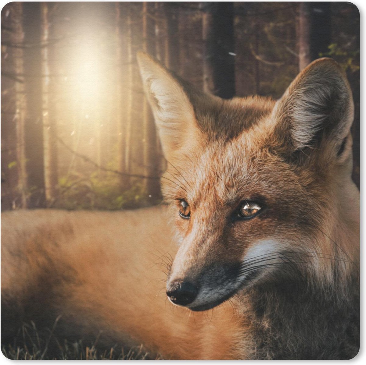 Muismat 20x20 cm - Mousepad Dieren - Vos - Bos - Muismatten