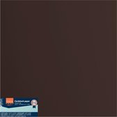 Florence Karton - Bear - 305x305mm - Gladde textuur - 216g
