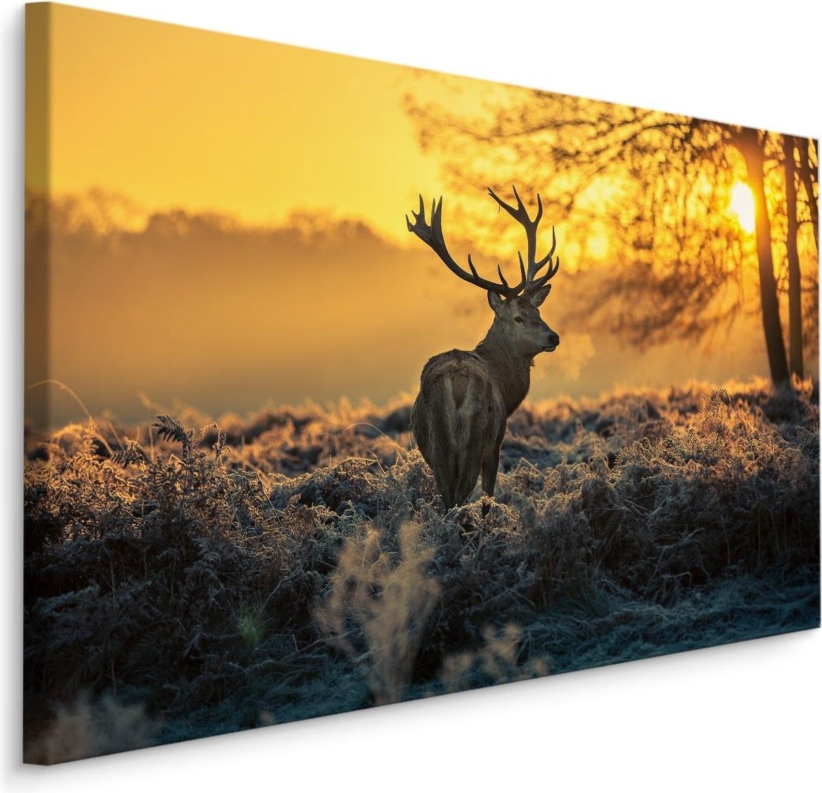 karo-art Schilderij - Hert in de ochtend, geel/bruin, wanddecoratie Multikleur