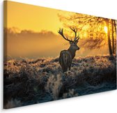 Schilderij - Hert in de ochtend, geel/bruin, wanddecoratie