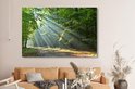 Zonnestralen door een groen bos, verlichten een pad. Een canvas in een woonkamer boven een bank.