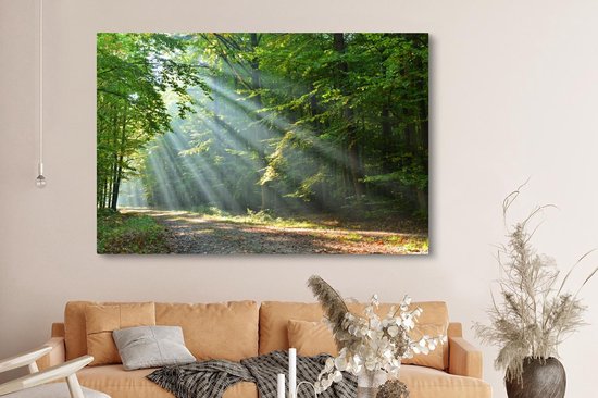 Zonnestralen door een groen bos, verlichten een pad. Een canvas in een woonkamer boven een bank.