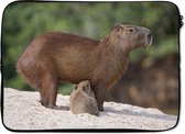 Laptophoes 13 inch - Twee capibara's voeden zich van hun moeder op een zandbank aan de rivier - Laptop sleeve - Binnenmaat 32x22,5 cm - Zwarte achterkant