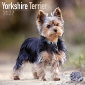 Yorkshire Terrier 2022 calender