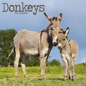 Donkeys Kalender 2022