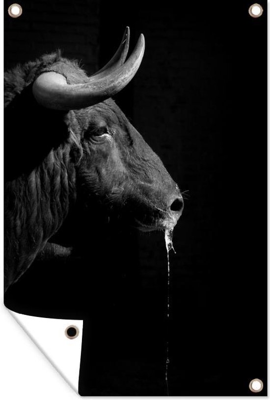 Tuinposter 40x60 cm - Tuindecoratie Een zwarte stier met hoorns op een zwarte achtergrond - zwart wit - Poster voor in de tuin - Buiten decoratie - Schutting tuinschilderij - Tuindoek muurdecoratie - Wanddecoratie balkondoek