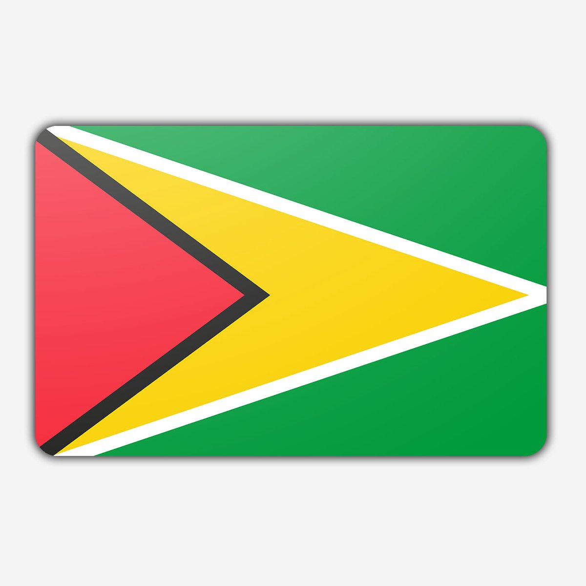 Vlag Guyana - 70 x 100 cm - Polyester