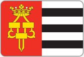 Vlag Drachten - 100 x 150 cm - Polyester