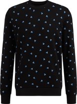 WE Fashion Heren sweater met dessin