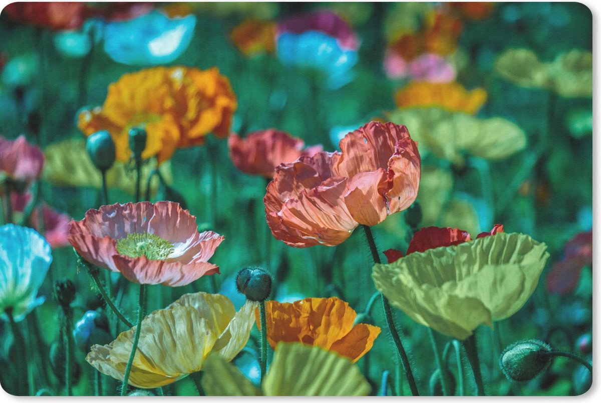 Muismat - Mousepad - Bloemen - Natuur - Wild - 27x18 cm - Muismatten