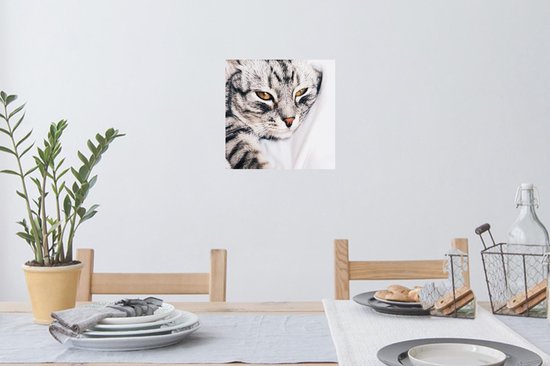 Stickers muraux - Film autocollant - Chats - Yeux - Macro - 40x30 cm - Film adhésif - Stickers muraux Chambre d'enfants - Papier peint autocollant