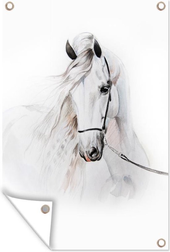 Décoration de jardin Cheval - Aquarelle - Animaux - Wit - 40x60 cm - Affiche jardin - Toile jardin - Affiche extérieur