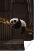 Poster Panda - Goud - Zwart - 20x30 cm