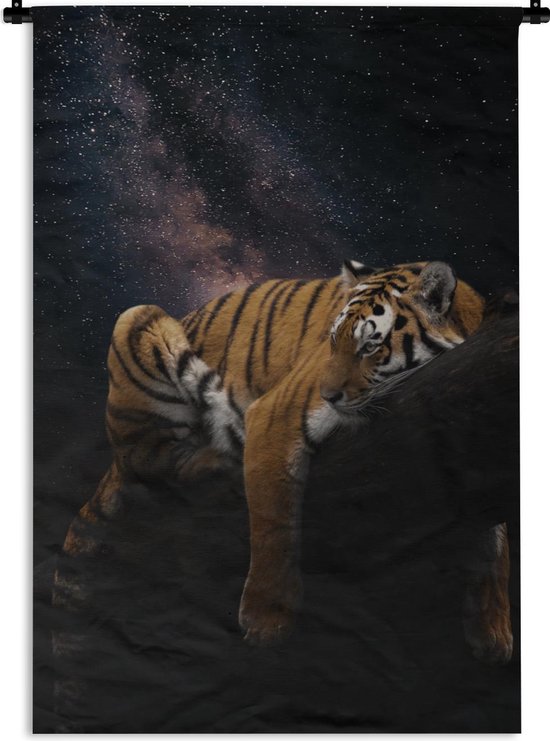 Wandkleed - Wanddoek - Tijger - Heelal - Sterren - 60x90 cm - Wandtapijt