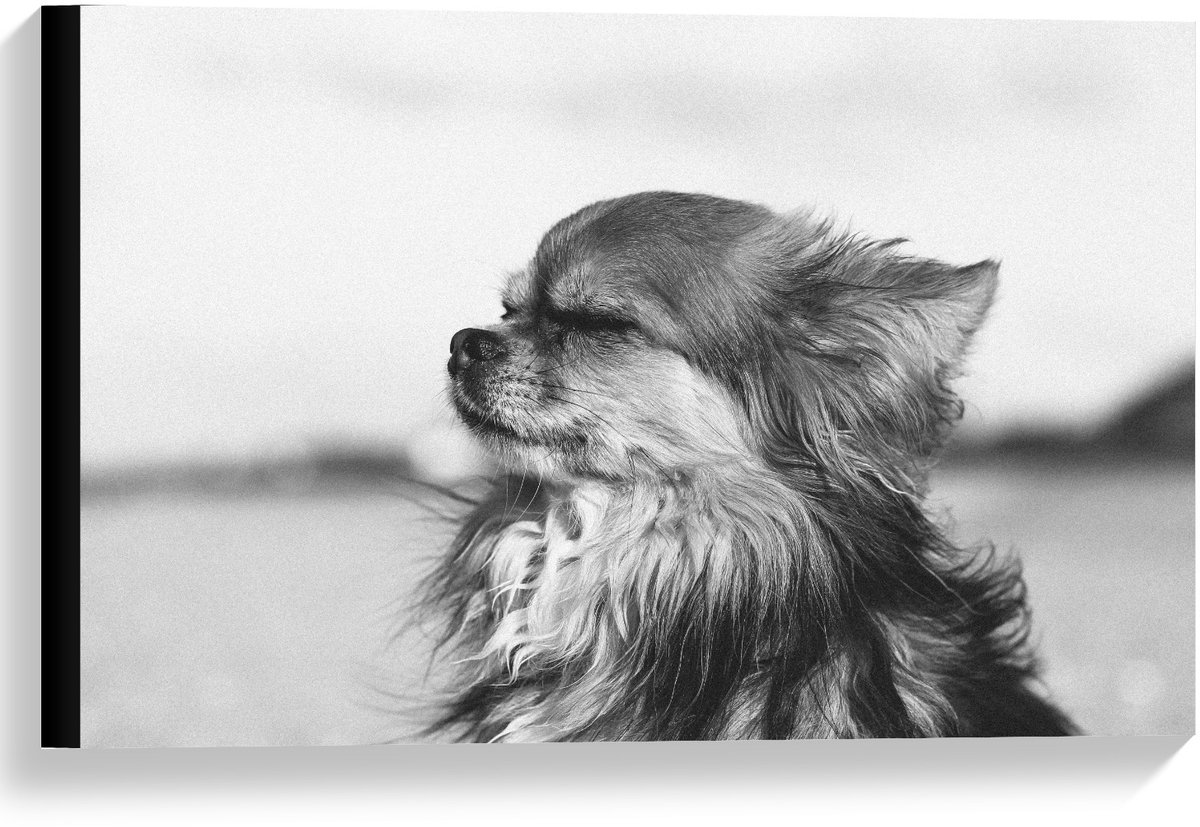 KuijsFotoprint Canvas - Klein Hondje in Zwart Wit - 60x40cm Foto op Canvas Schilderij (Wanddecoratie op Canvas)