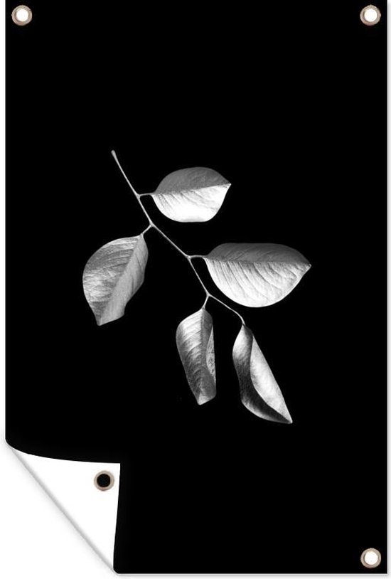 Tuinposters buiten Tak met bladeren op een zwarte achtergrond - zwart wit - 60x90 cm - Tuindoek - Buitenposter
