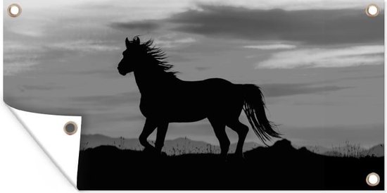 Tuinposter Silhouet van een wild mustang paard - zwart wit - 90x40 cm - Wanddecoratie Buiten - Tuinposter - Tuindoek - Schuttingposter - Tuinschilderij