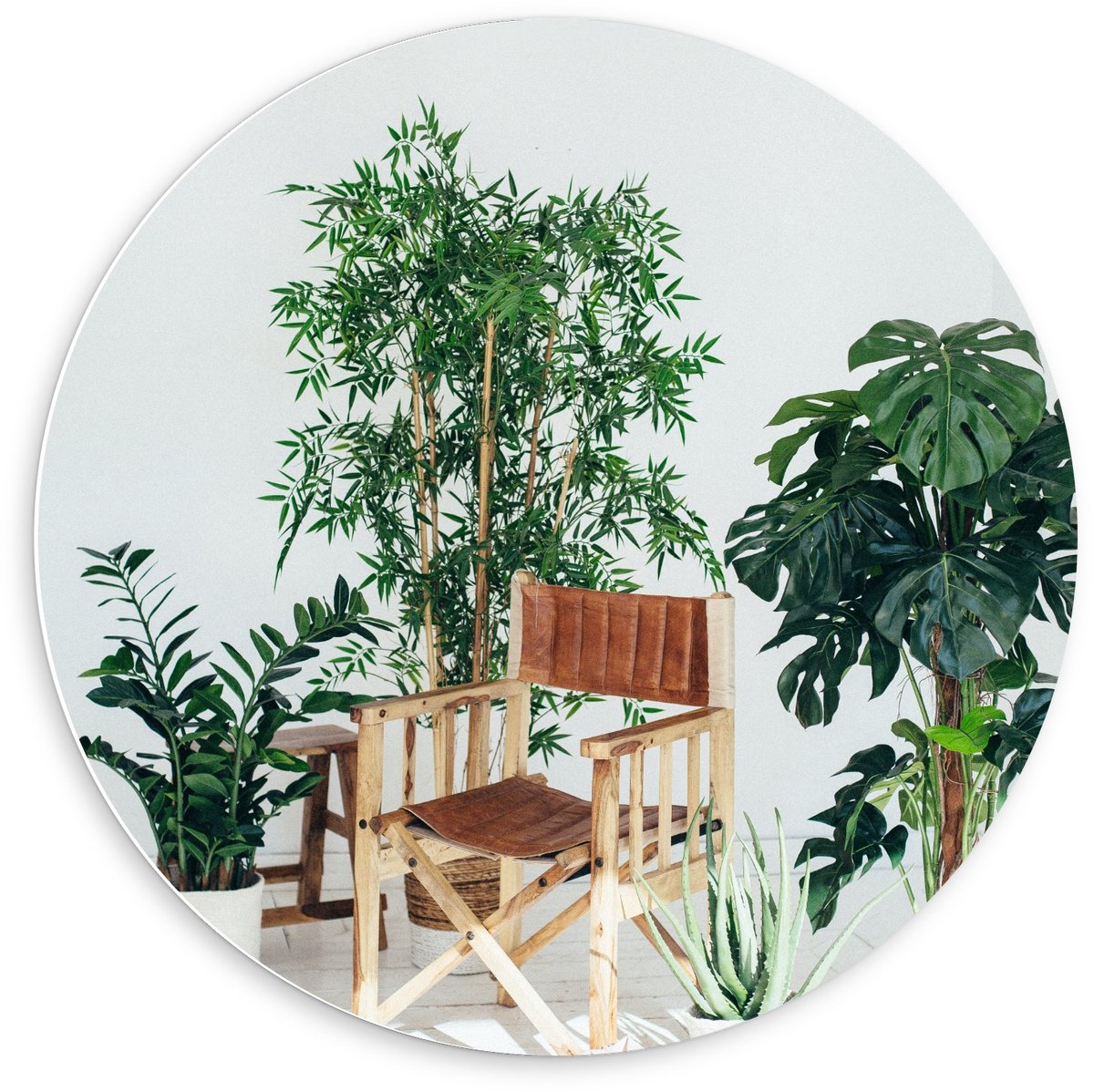 KuijsFotoprint - Schilderij - Tuinstoeltje Tussen - Wit, Groen En Bruin - 60 X 60 Cm