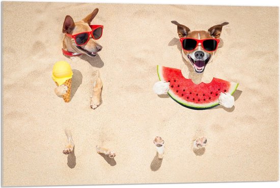 Acrylglas - Honden chillend op het Strand met Eten - 90x60cm Foto op Acrylglas (Met Ophangsysteem)