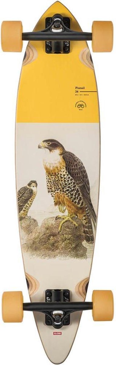 Globe Pintail 34 – Falcon longboard