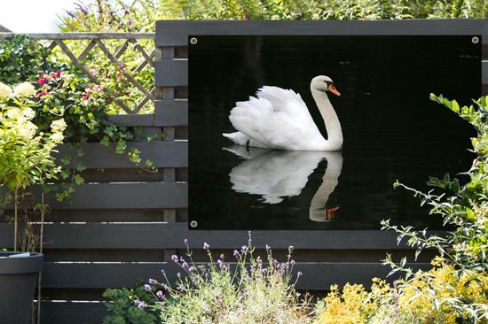 Affiche de jardin Gracieux nageur 120x80 cm - Toile de jardin / Toile d'extérieur / Peintures d'extérieur (décoration de jardin)